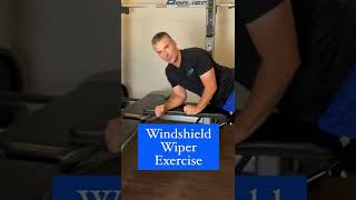 Windshield Wiper Shoulder Exercise Rotator Cuff Strengthening [upl. by Enileoj]