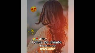 lohay Da chimta Slowed and Reverb Shafullah Khan Rokari song SaraikiWaqas 🥀❤️🥀 [upl. by Irem554]