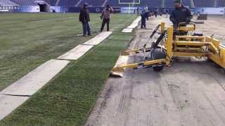 Installing Thick Cut sod using the SIDEKICK PATENTED [upl. by Kolva]