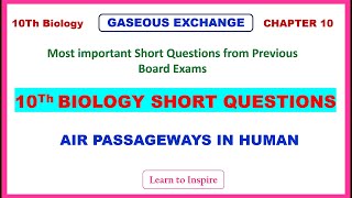 Gaseous exchange in Humans Human Respiratory system10Th Biology Short Questions Chapter 10 [upl. by Marilee]