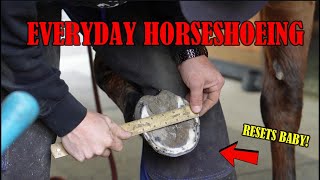 Everyday Horseshoeing Shoeing an Eventing Horse with Toe Clips [upl. by Lillywhite]