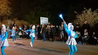 Shepton Mallet Carnival 2024  Castle Cary Cygnets Majorettes [upl. by Arrim]