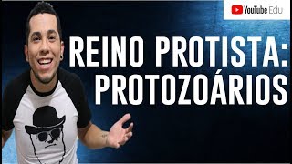 PROTOZOÁRIOS Reino Protista A melhor aula da Internet │Biologia com Patrick Gomes [upl. by Midge]