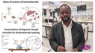 Improvement of Antimalarials efficacy by loading them into Saponinbased micelles [upl. by Ailen]