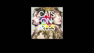 Cats on Trees Calogero  Jimmy video lyrics [upl. by Adriene]