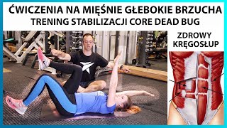 Jak ćwiczyć mięśnie głębokie brzucha Trening stabilizacji kręgosłupa mięsień poprzeczny DEAD BUG [upl. by Gine816]