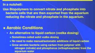 Biodegradable Polymers  DrTims Aquatics [upl. by Eilrak]