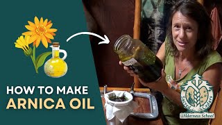 How to make Arnica Oil with Karie Lee  Sacred Cedars Wilderness School [upl. by Prosperus]