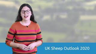 2020 outlook for Beef and Lamb in the UK [upl. by Brom]