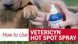 How to Use Vetericyn Antimicrobial Hot Spot Spray [upl. by Robertson775]