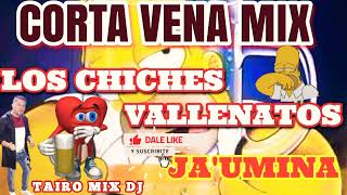 los chiches vallenatos corta vena mix Tairo Mix Dj [upl. by Suehtomit]