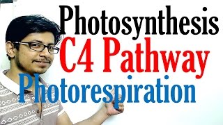 C4 pathway Photosynthesis and photorespiration [upl. by Boland]