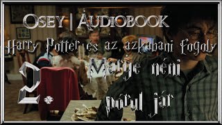 Harry Potter és az azkabani fogoly hangoskönyv remake  2 fejezet [upl. by Adnauqaj]