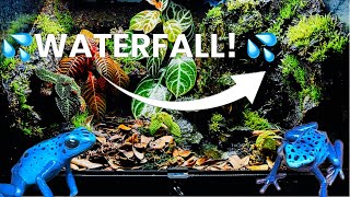 I Built A Poison Dart Frog Habitat With Water Fall [upl. by Allicerp]