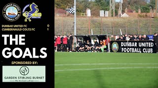 THE GOALS  vs Cumbernauld Colts FC  South Challenge Cup Round 4  190124 [upl. by Harim]