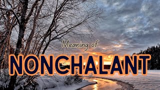 What is the meaning of Nonchalant [upl. by Ima]