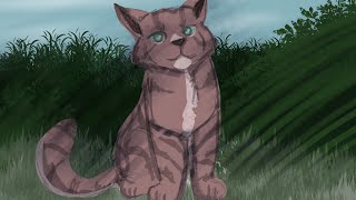 Cat Speedpaint [upl. by Nuahsyt166]