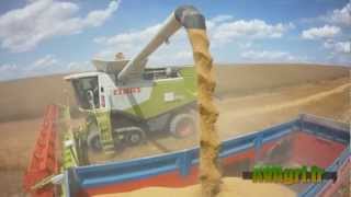 ETA Philippot  CLAAS Lexion 770 et coupe V1200 à la moisson de lescourgeon en 2012 [upl. by Ithsav]