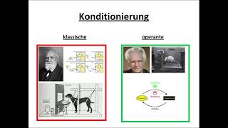 Klassische und operante Konditionierung erklärt [upl. by Yenahteb]