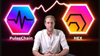 HEX ECOSYSTEM EXPLAINED Is it a Scam or Cryptocurrency Revolution [upl. by Rehttam]