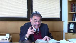 Rabbi Shlomo Riskin on Parshat Shemot  quotTorah Lightsquot 5778 [upl. by Zippel]