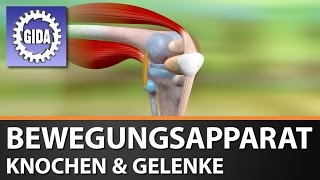 Trailer  Bewegungsapparat  Knochen amp Gelenke  Biologie  Schulfilm [upl. by Munster]