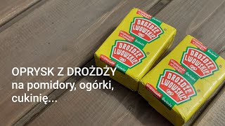 OPRYSK Z DROŻDŻY na pomidory ogórki cukinię [upl. by Ericka423]