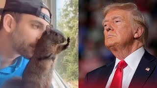 Trump ‘not happy’ about beloved online squirrel’s euthanasia [upl. by Yelich754]