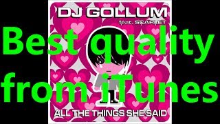 DJ Gollum  All the Things She Said feat Scarlet Radio Mix Lyrics [upl. by Inafetse428]