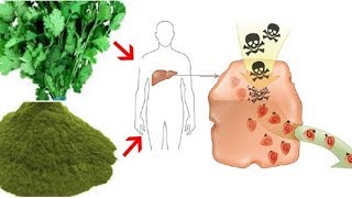 Czy chlorella wyciąga metale ciężkie z organizmu   fakty na temat owoców i warzyw [upl. by Bazil]