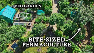 Stunning TINY Permaculture Backyard Kitchen Garden With 30 Fruit Trees [upl. by Nette]