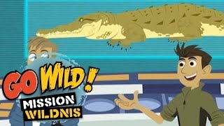 Go Wild Mission Wildnis  Krokodil oder Alligator  Folge 26 [upl. by Scoles]