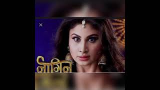 Naagin Series and Best Episodes is here with full Videos [upl. by Hiroshi]