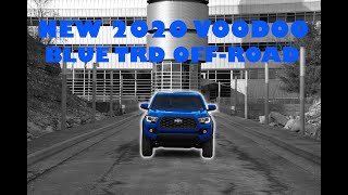 New 2020 Tacoma  Voodoo Blue  Channel Intro and Tint [upl. by Aihseya799]