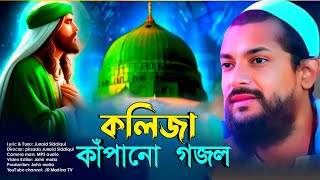 কলিজা কাঁপানো একটি গজল পীরজাদা জুনায়েদ সিদ্দিকী junaid siddiqui gojol junaid siddiqui naat [upl. by Braswell]