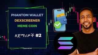 Meme coin 2 Phantom Connect Cryptocurrency in Amharic for Beginners  Dexscreener [upl. by Gussy]