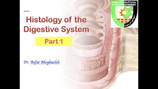 Histology of Digestive System Part 1 [upl. by Jala]