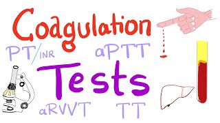 Coagulation Tests  PT aPTT TT Fibrinogen Mixing Studies [upl. by Auqinal]