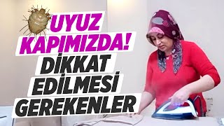 BU BİLGİLER İLE UYUZDAN KORUNUN EVDE YAPABİLECEĞİNİZ UYUZ KREMİ TARİFİ UYUZ OLDUĞUMU NASIL ANLARIM [upl. by Xad]