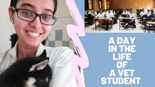 Day in the life of a vet student  Vet Visit [upl. by Remo173]