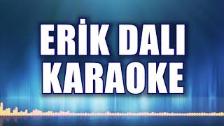 ERİK DALI GEVREKTİR KARAOKE ton LA [upl. by Vikky]