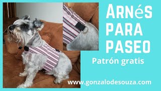 Curso ropa para mascotas 2  Arnés de seguridad para perros paso a paso [upl. by Atrice]