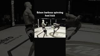 Edson Barboza spinning heel kick ufc mma edsonbarboza knockout brasil •kick [upl. by Simah]