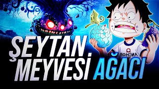 ŞEYTAN MEYVESİ AĞACI  ONE PİECE 1131 BÖLÜM İNCELEMESİ [upl. by Iraj]