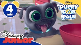 Puppy Dog Pals  Sistemare casa  Disney Junior Italia [upl. by Chilt]