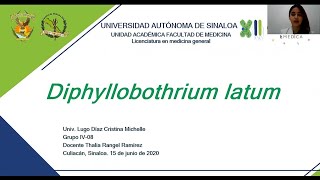 35 Diphyllobothrium latum [upl. by Mosley]