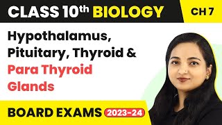 Hypothalamus Pituitary Thyroid and Para Thyroid Glands  Class 10 Biology Chapter 7 [upl. by Morril388]