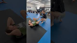 Glyn Powditch knee to heel connection in passing bjj bjjnogi bjjlifestyle bjjfanatics [upl. by Rudyard782]