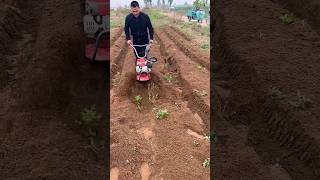 Micro tillage gasoline rotary tiller cultivator ditching Plow Machine 63 shorts youtubeshorts [upl. by Asital]