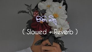 පිනි බිදු  Pini Bidu  Slowed reverb [upl. by Seabrook]